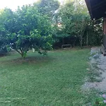 Bangalo Kontiki
